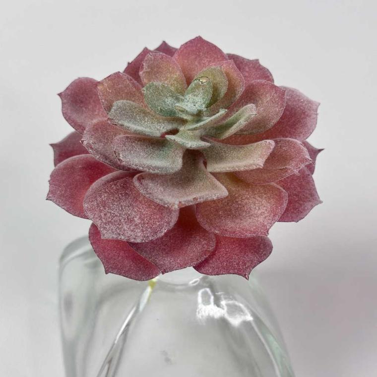 Загружен программно: img_1519.jpg