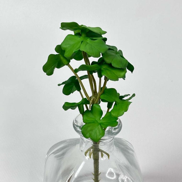 Загружен программно: img_1525.jpg