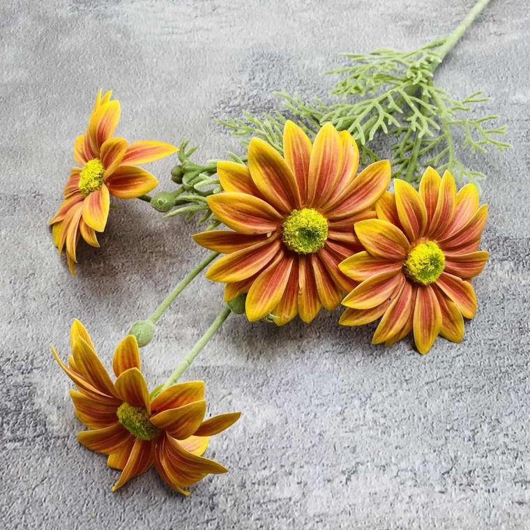 Загружен программно: img_1541.jpg