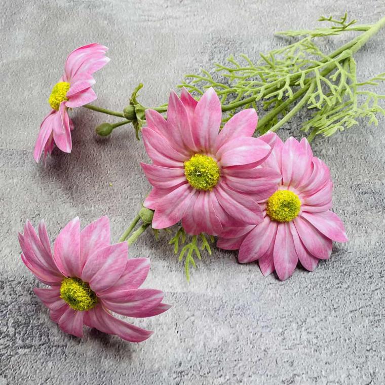 Загружен программно: img_1549.jpg