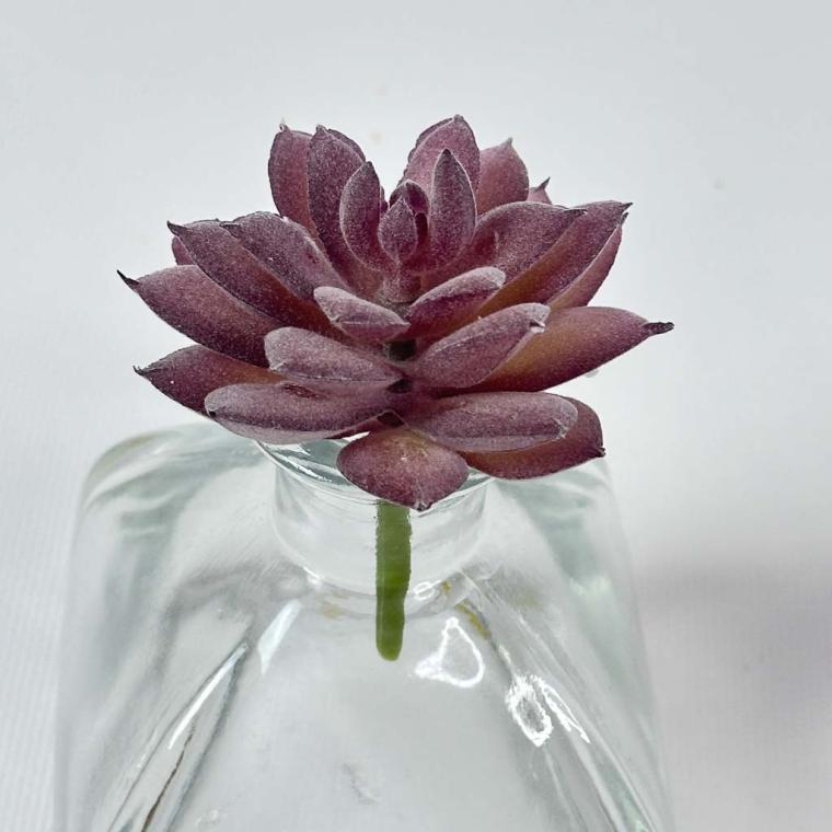 Загружен программно: img_1549_0.jpg