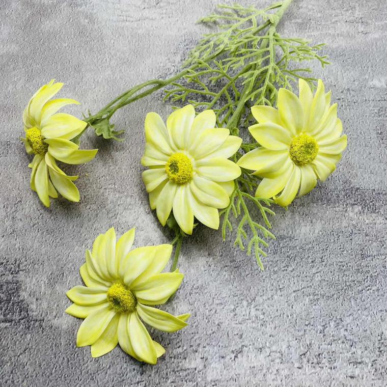 Загружен программно: img_1551.jpg