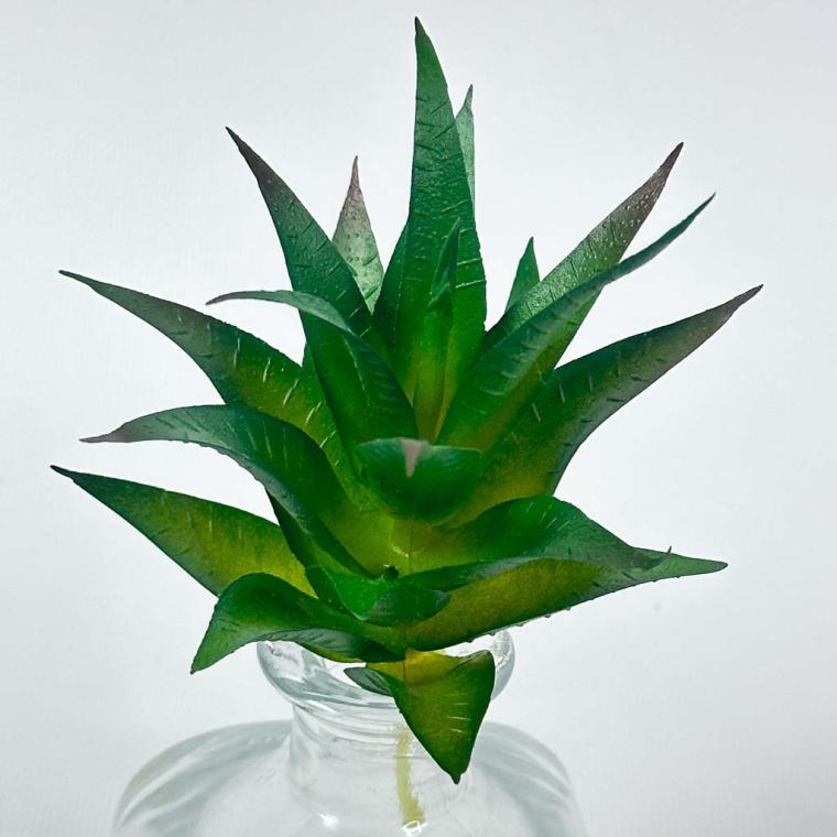 Загружен программно: img_1553_0.jpg