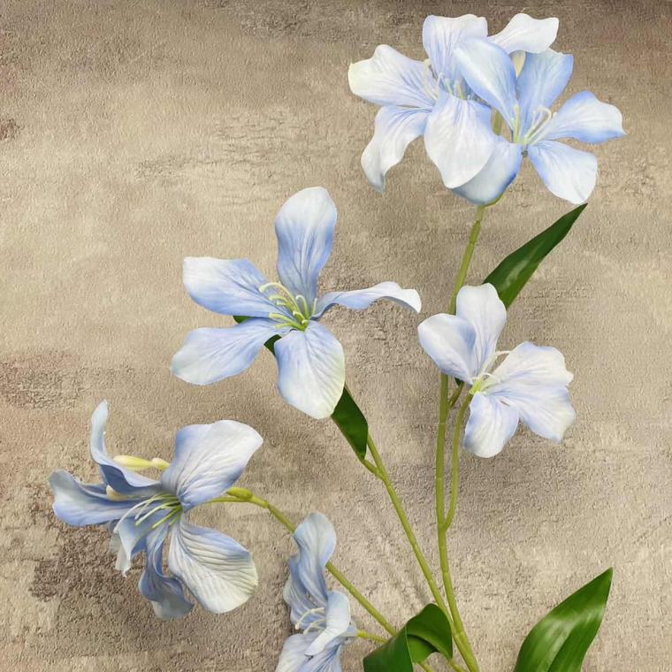 Загружен программно: img_1584.jpg