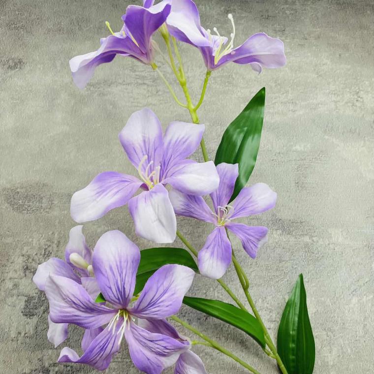 Загружен программно: img_1588.jpg