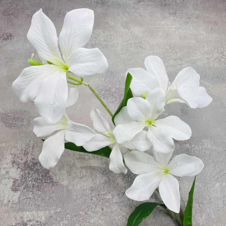 Загружен программно: img_1592.jpg