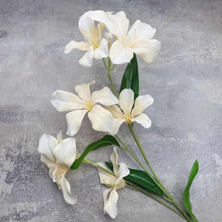 Загружен программно: img_1595.jpg