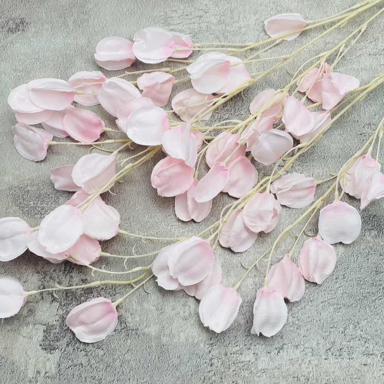 Загружен программно: img_1615.jpg