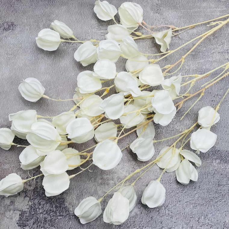 Загружен программно: img_1618.jpg