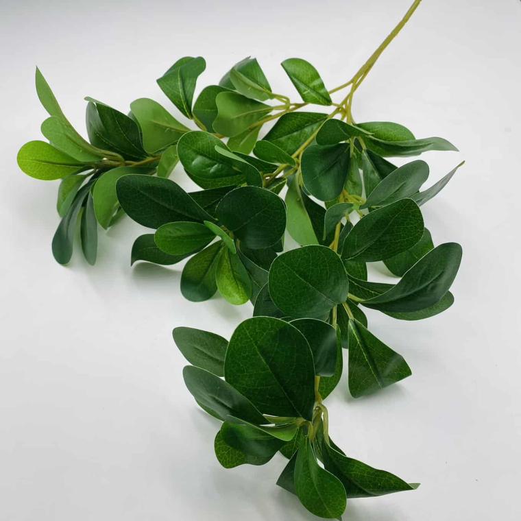 Загружен программно: img_1660.jpg