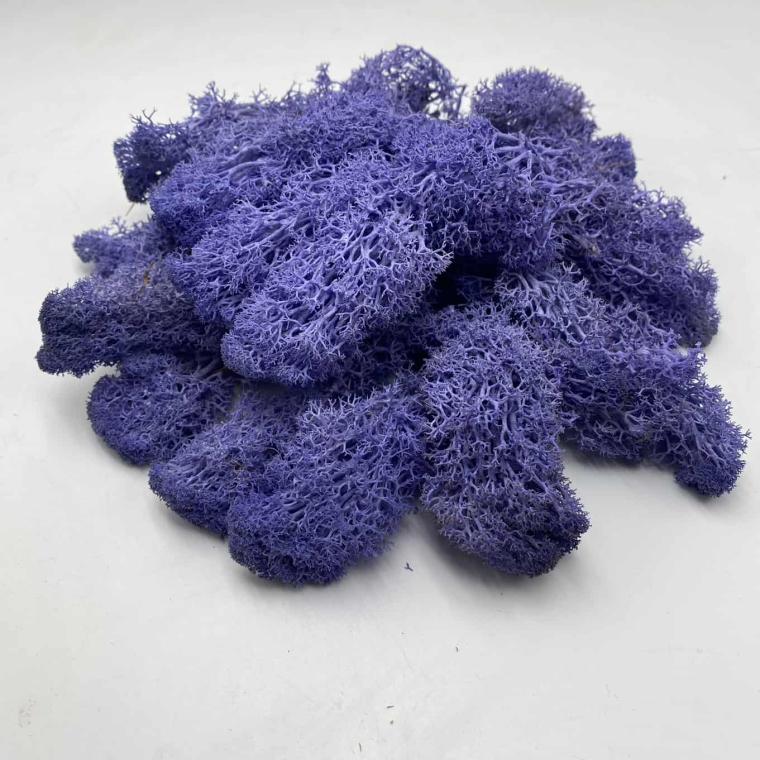 Загружен программно: img_1833.jpg