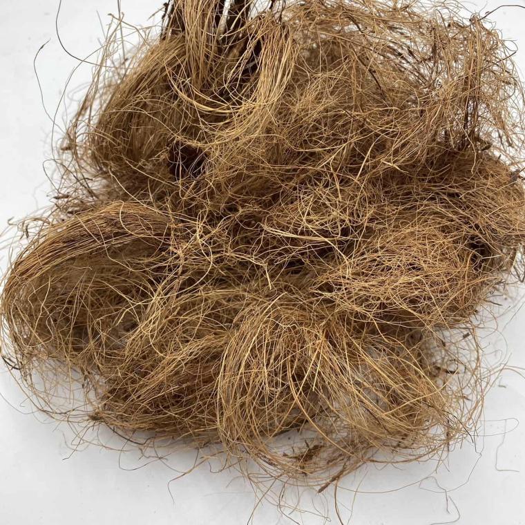 Загружен программно: img_1836.jpg