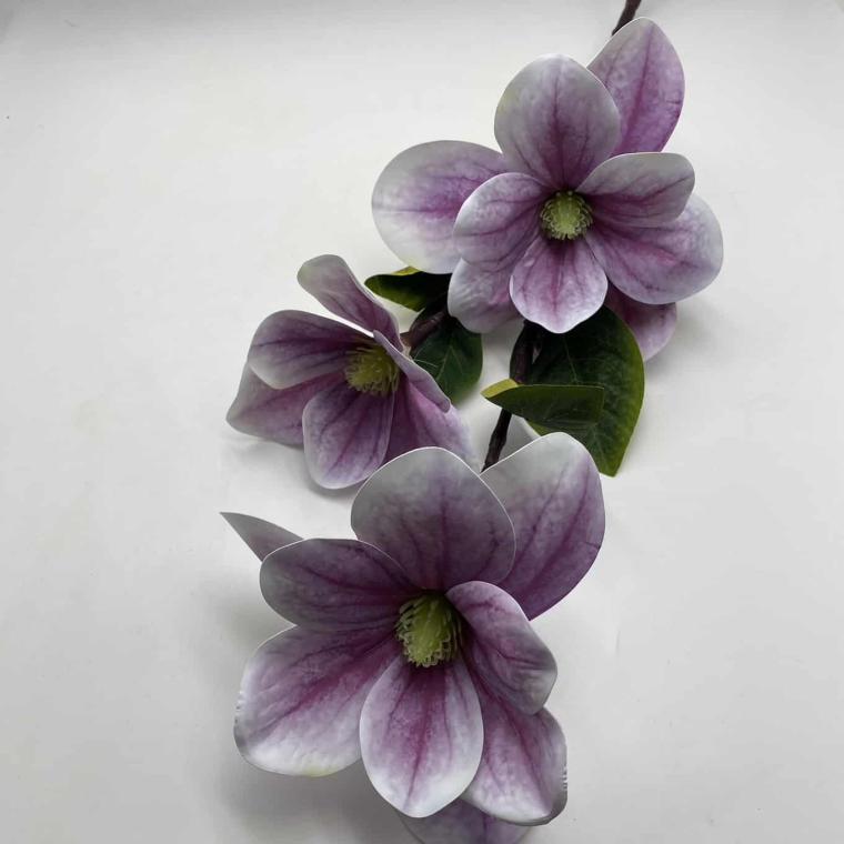 Загружен программно: img_1891.jpg