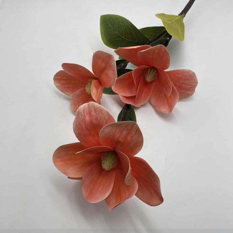 Загружен программно: img_1892.jpg