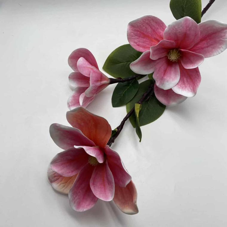 Загружен программно: img_1893.jpg