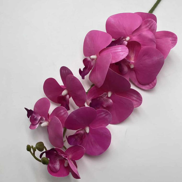 Загружен программно: img_2045.jpg