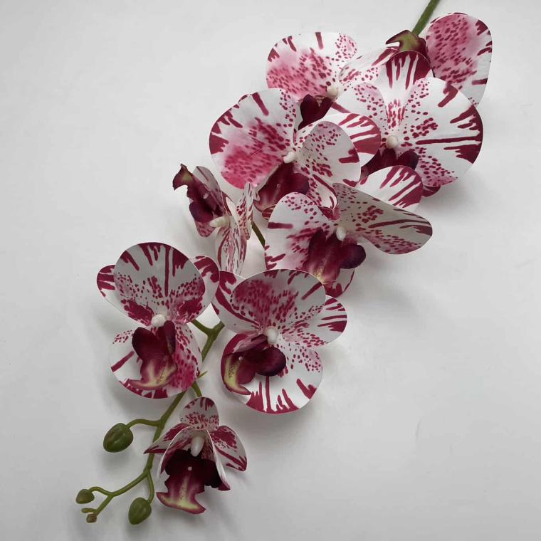 Загружен программно: img_2046.jpg