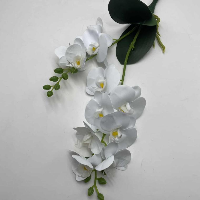 Загружен программно: img_2059.jpg