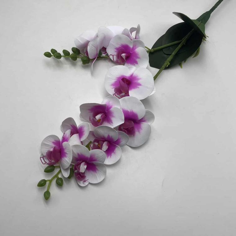 Загружен программно: img_2062.jpg