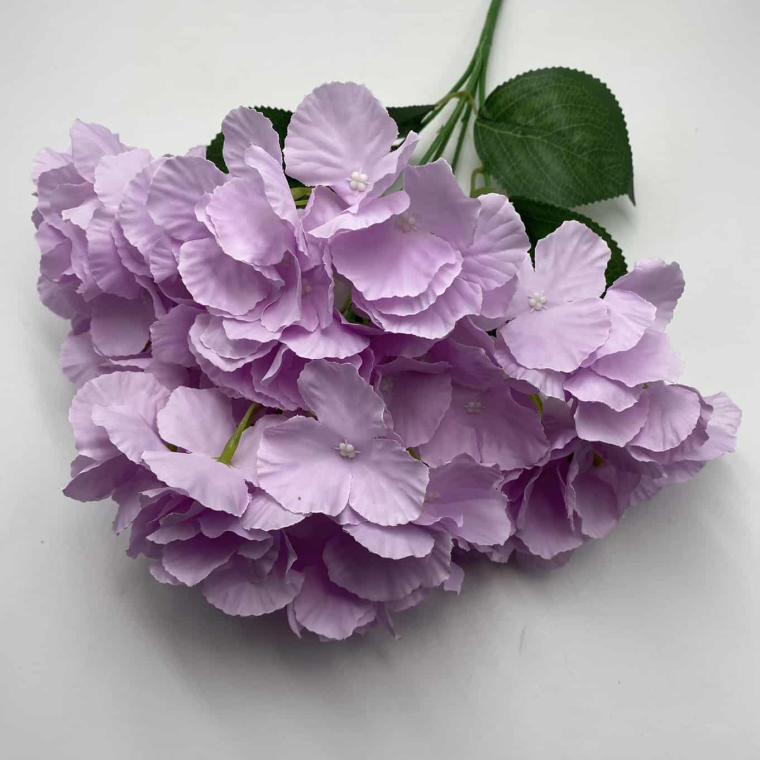 Загружен программно: img_2125.jpg