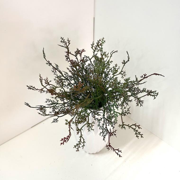 Загружен программно: img_2196.jpeg