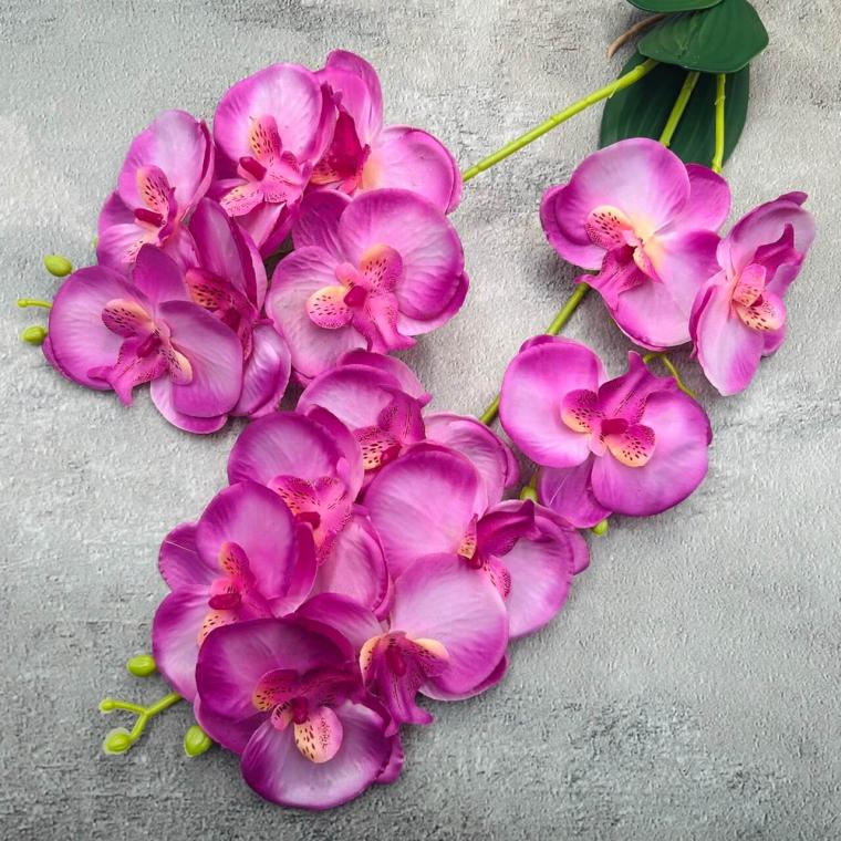 Загружен программно: img_2274_-_krupnyy_razmer.jpeg