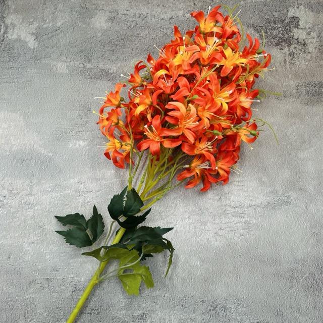 Загружен программно: img_2320_-_sredniy_razmer.jpeg