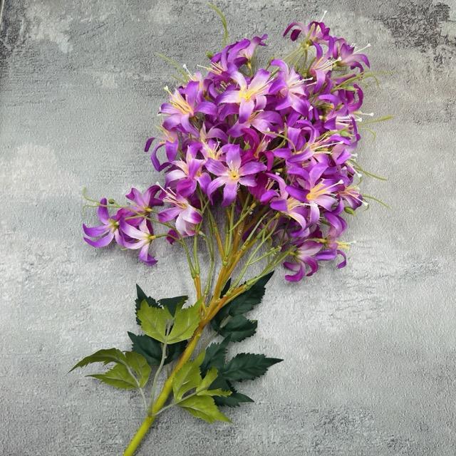 Загружен программно: img_2322_-_sredniy_razmer.jpeg