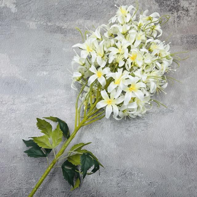 Загружен программно: img_2324_-_sredniy_razmer.jpeg