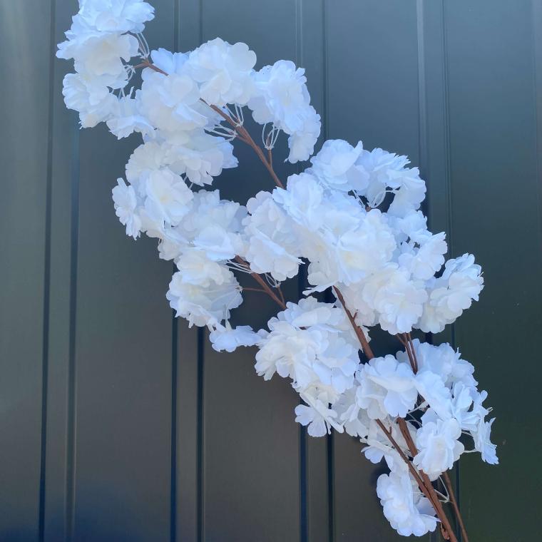 Загружен программно: img_2336.jpg