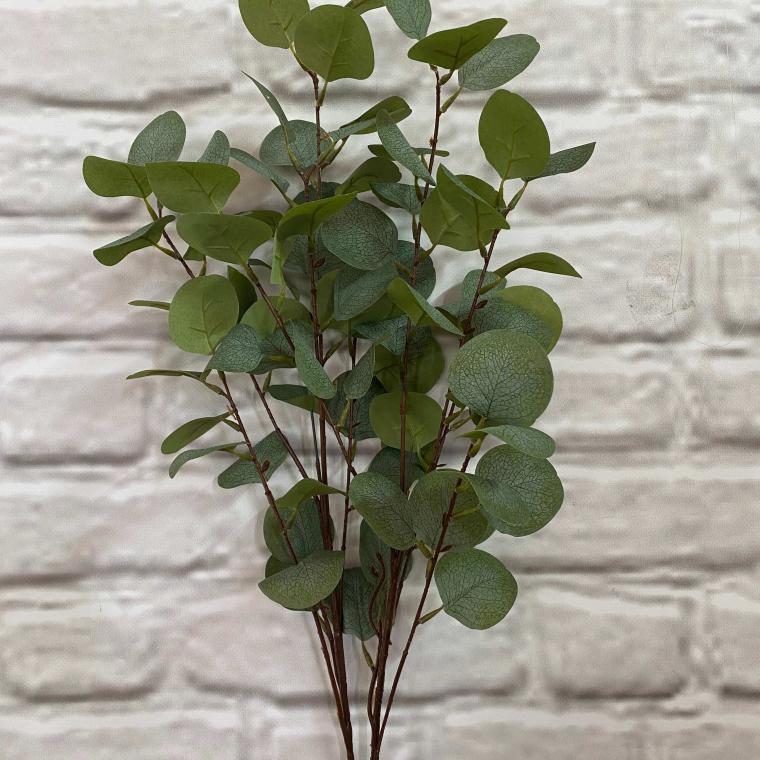 Загружен программно: img_2350.jpg