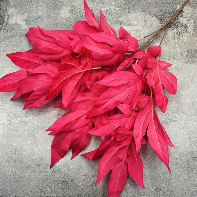 Загружен программно: img_2355_-_sredniy_razmer.jpeg