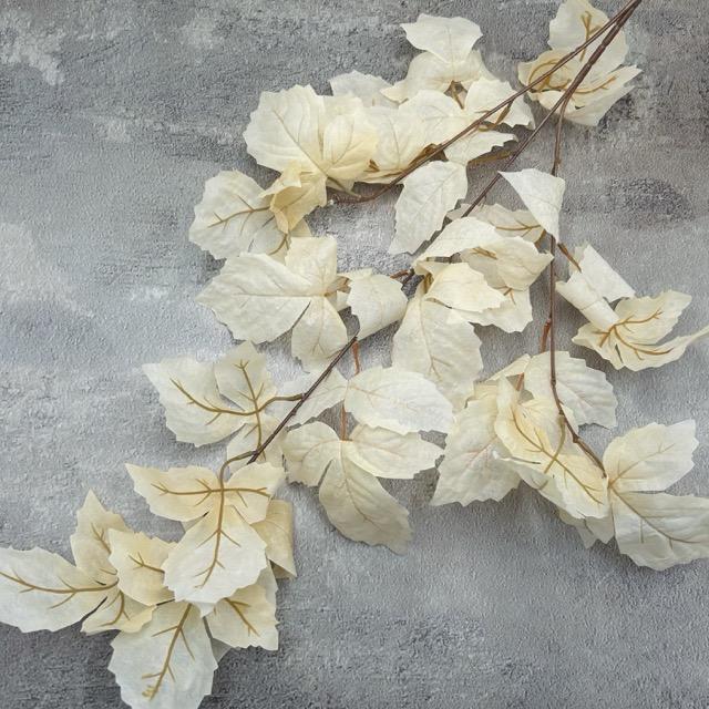 Загружен программно: img_2396_-_sredniy_razmer.jpeg