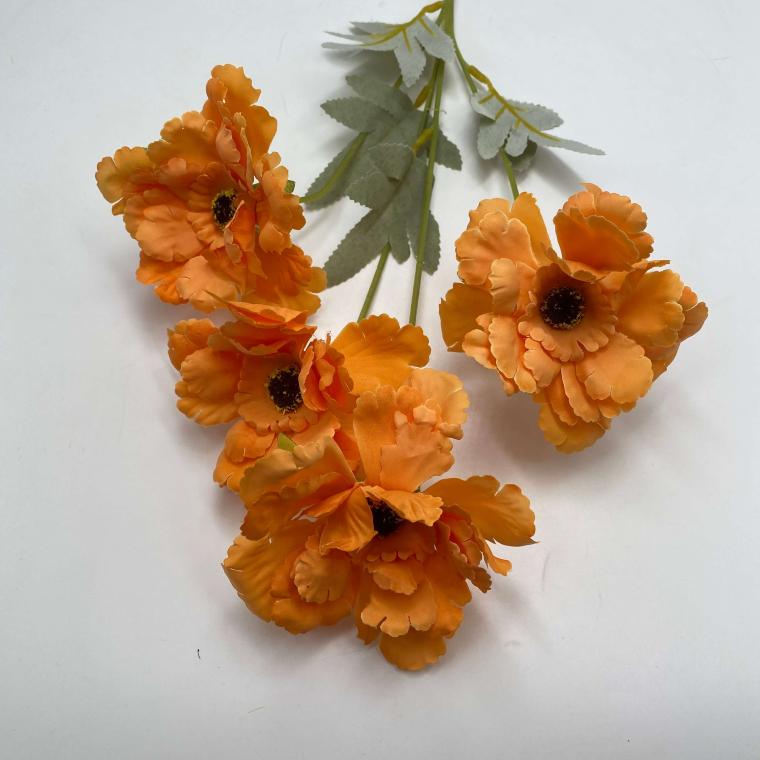 Загружен программно: img_2470.jpg