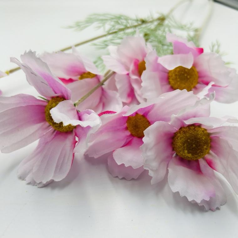 Загружен программно: img_2667_-_krupnyy_razmer.jpeg