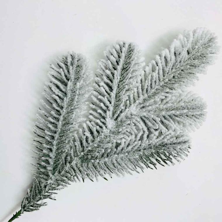 Загружен программно: img_2785.jpg