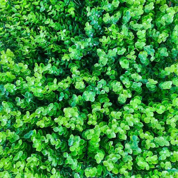 Загружен программно: img_2849.jpg