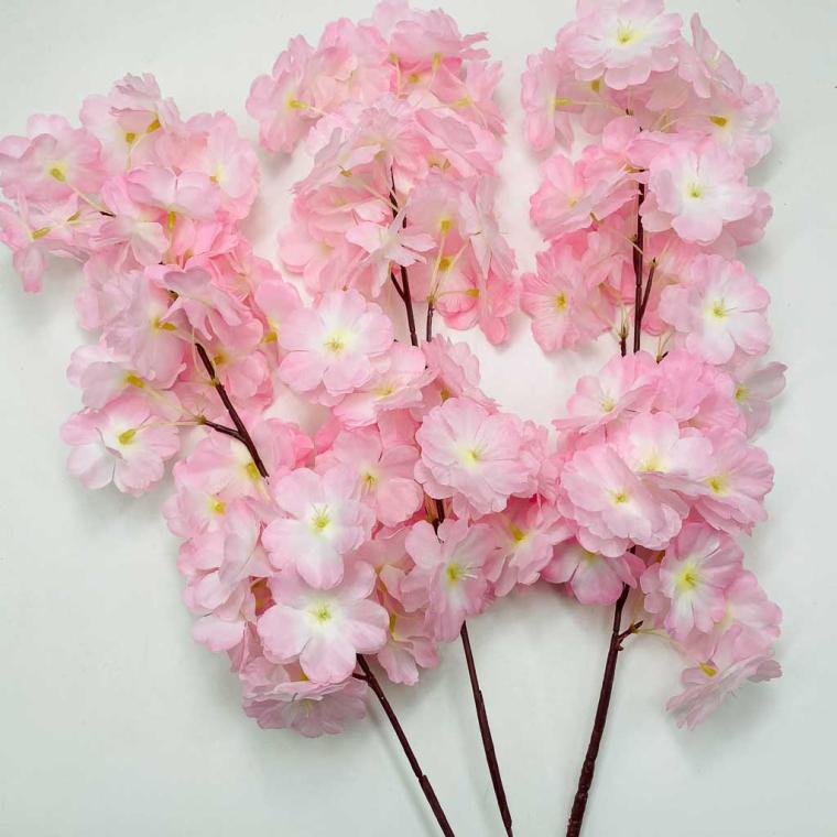 Загружен программно: img_2852.jpg