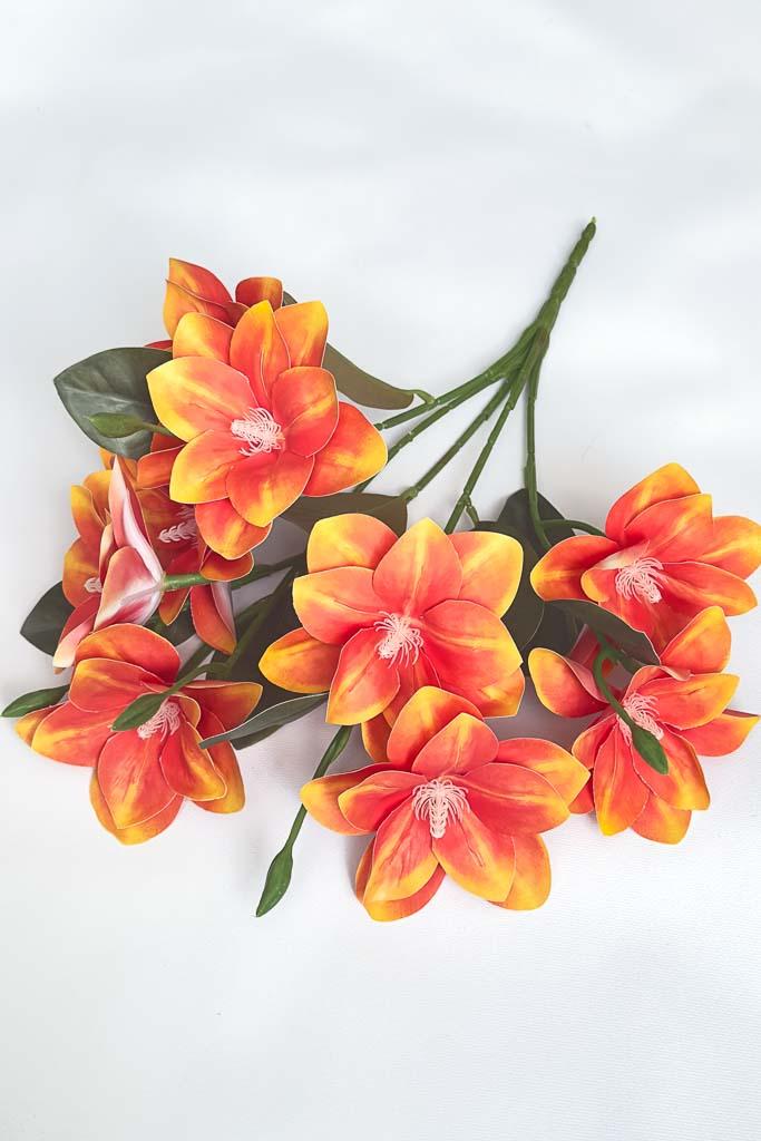 Загружен программно: img_3197_2.jpg