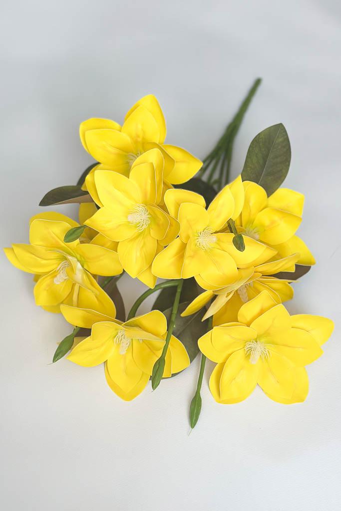 Загружен программно: img_3209.jpg