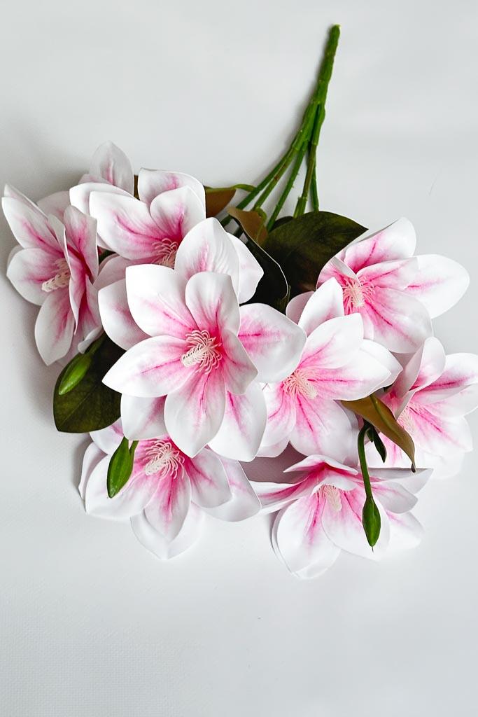 Загружен программно: img_3229.jpg