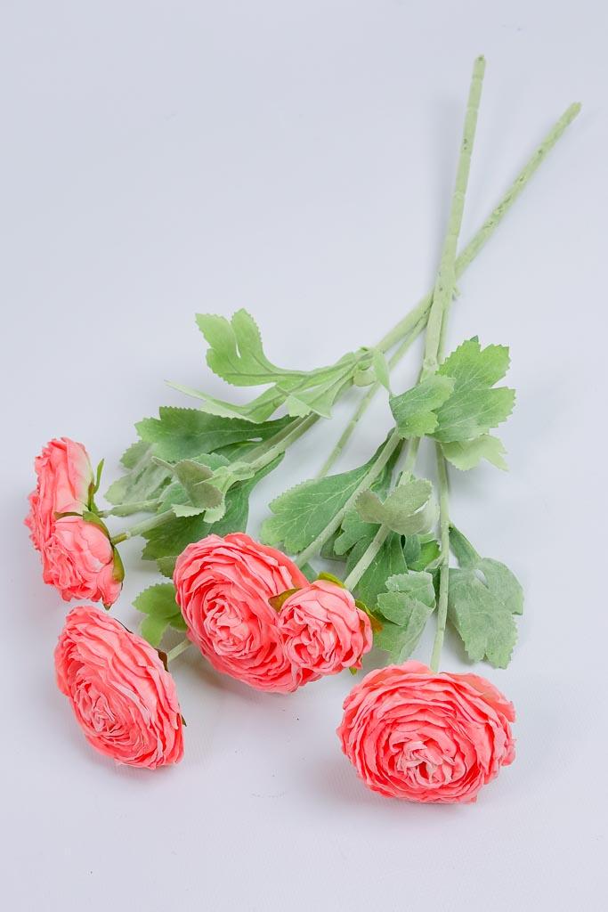 Загружен программно: img_3336.jpg