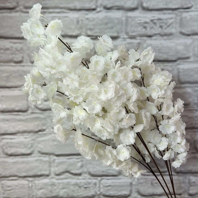 Загружен программно: img_3509.jpg