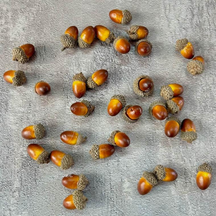 Загружен программно: img_3525_0.jpg