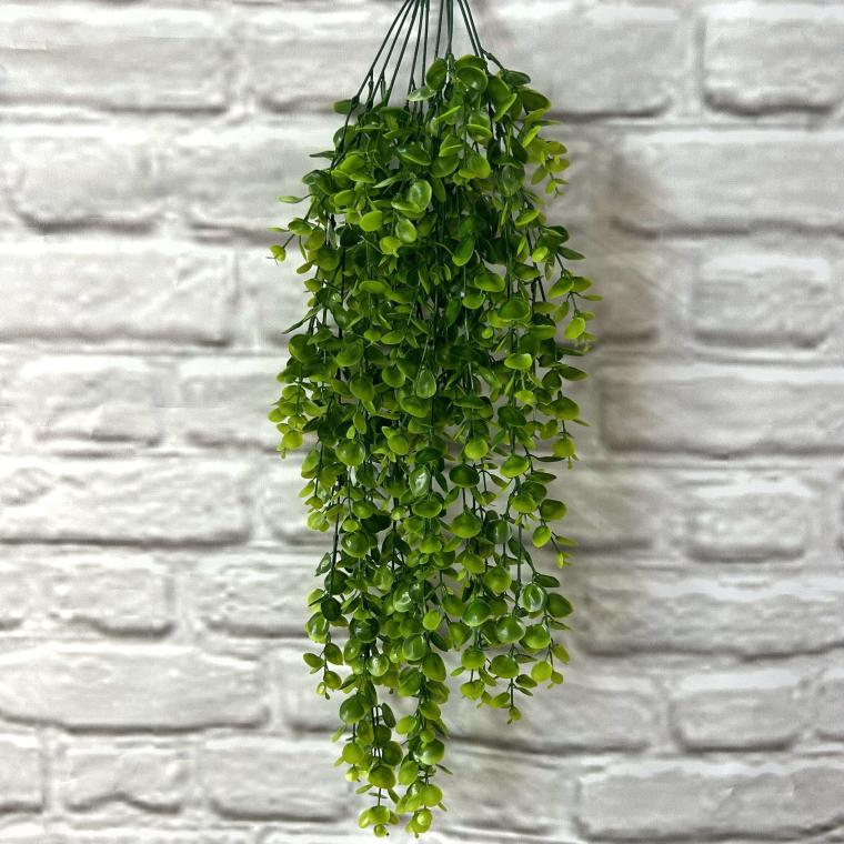 Загружен программно: img_3572.jpg