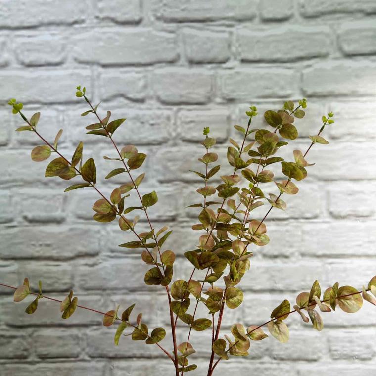 Загружен программно: img_3777.jpg