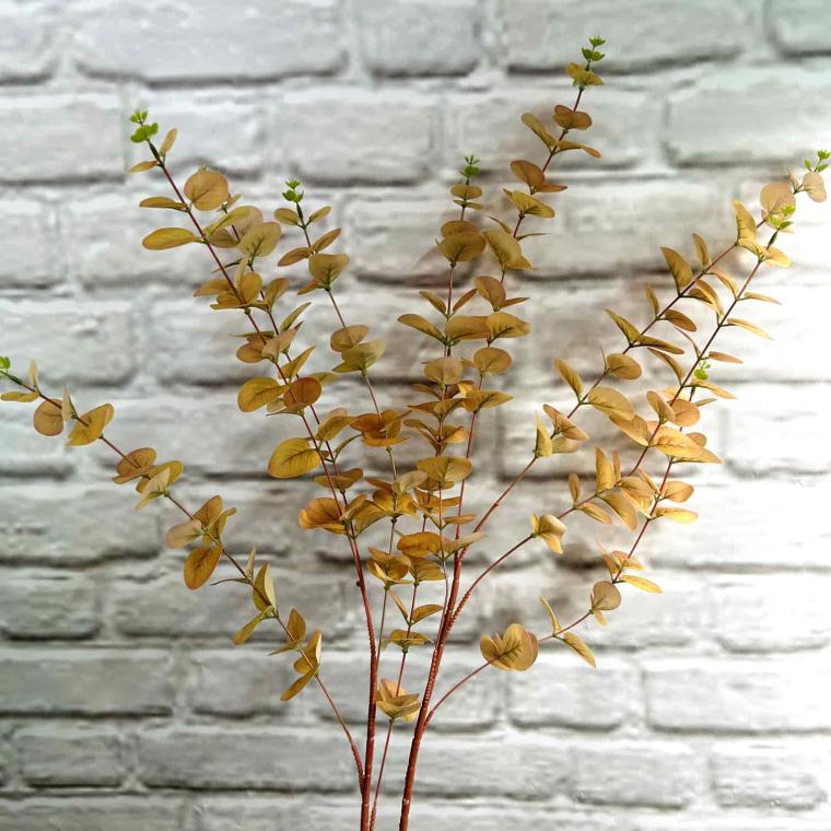 Загружен программно: img_3780.jpg