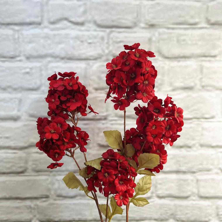 Загружен программно: img_3876.jpg