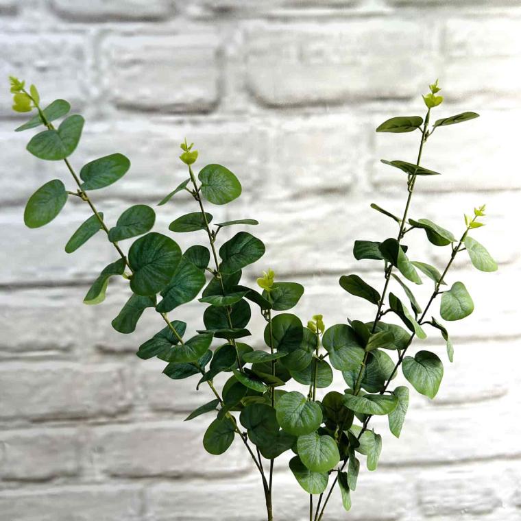 Загружен программно: img_3958.jpg