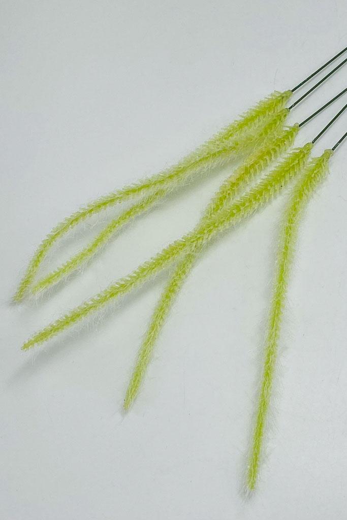 Загружен программно: img_3981.jpg